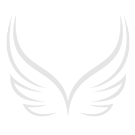 For iPhone 11 Pro Max Tri Shield Tough Strong Hybrid Case Cover - Black